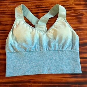 Victoria's Secret Light Blue Sports Bra